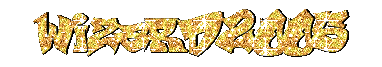 Wizard2005